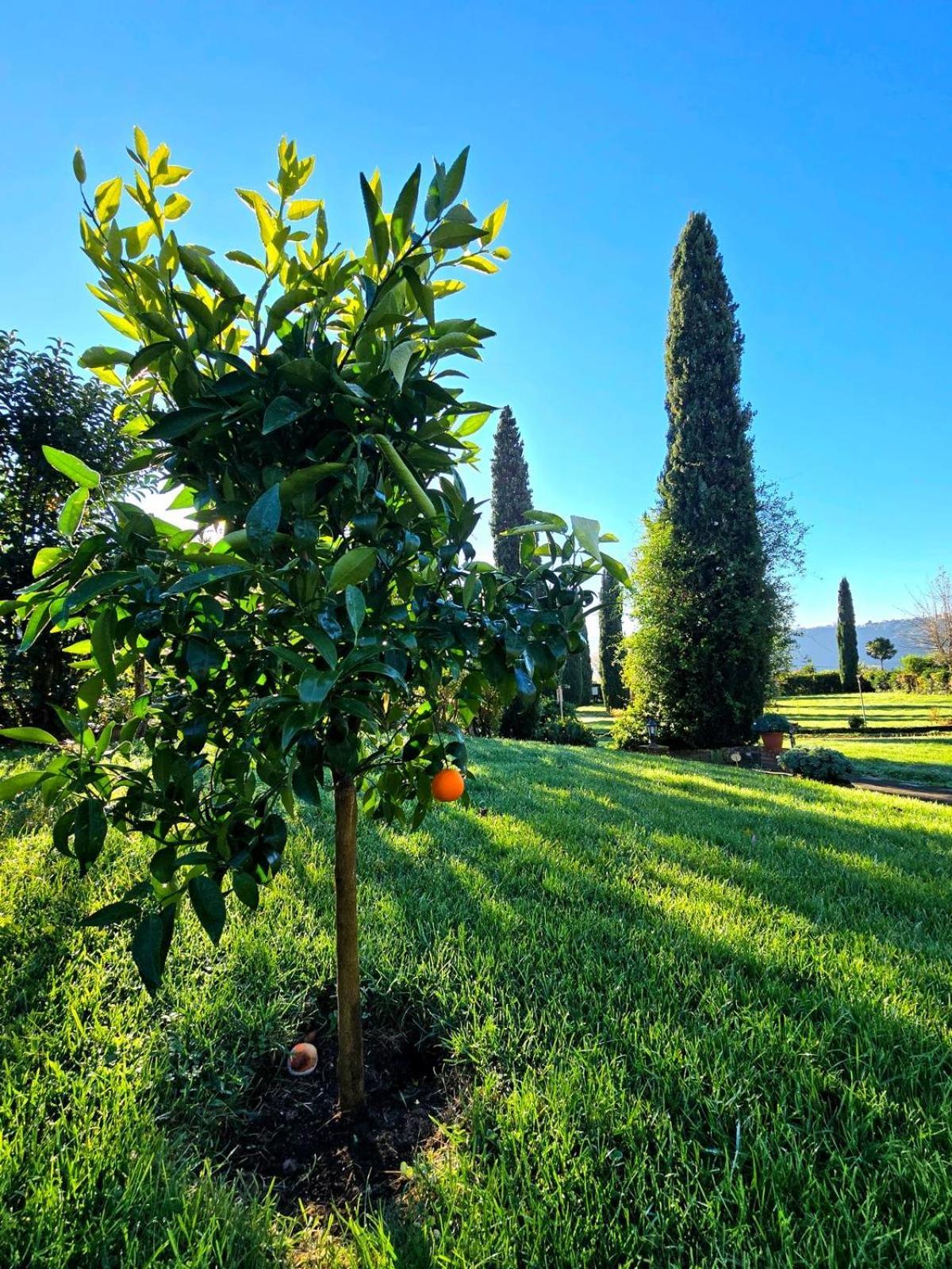 נמי Agriturismo Le Grotte מראה חיצוני תמונה