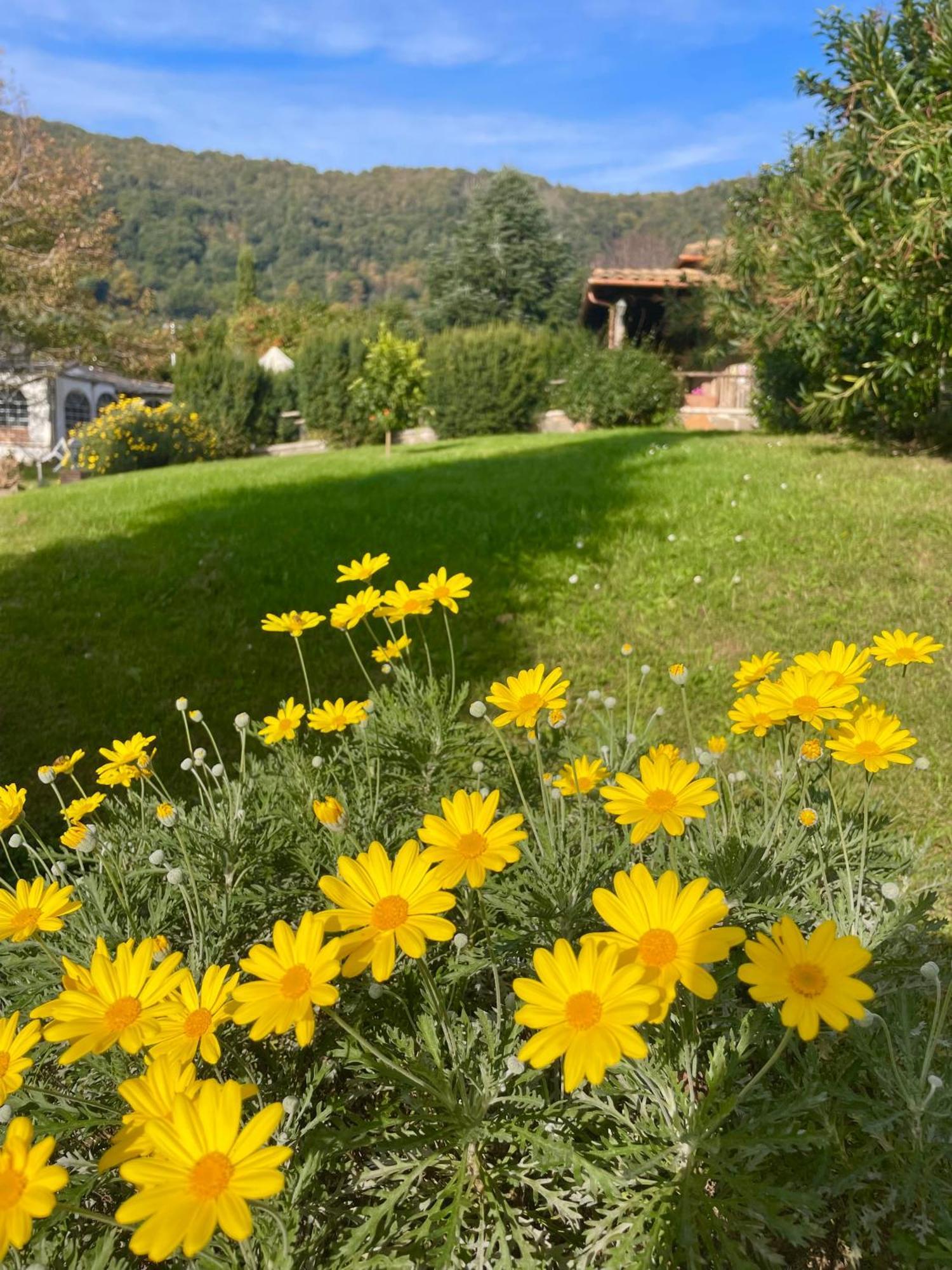 נמי Agriturismo Le Grotte מראה חיצוני תמונה