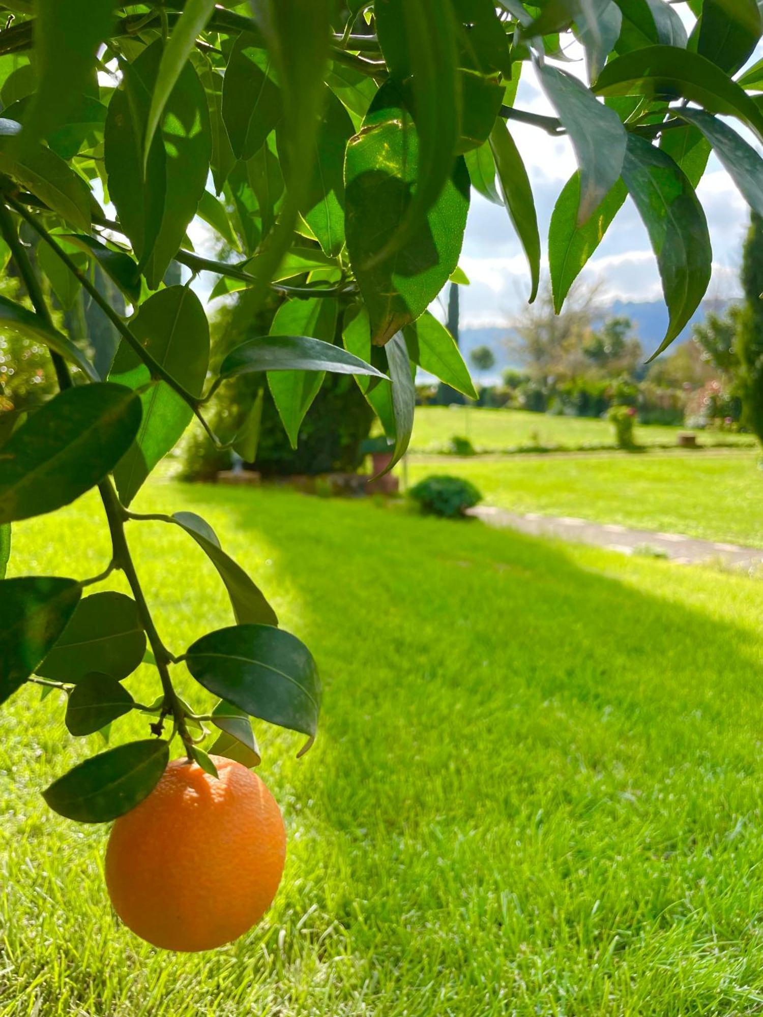 נמי Agriturismo Le Grotte מראה חיצוני תמונה